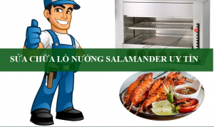 sua-lo-nuong-salamander